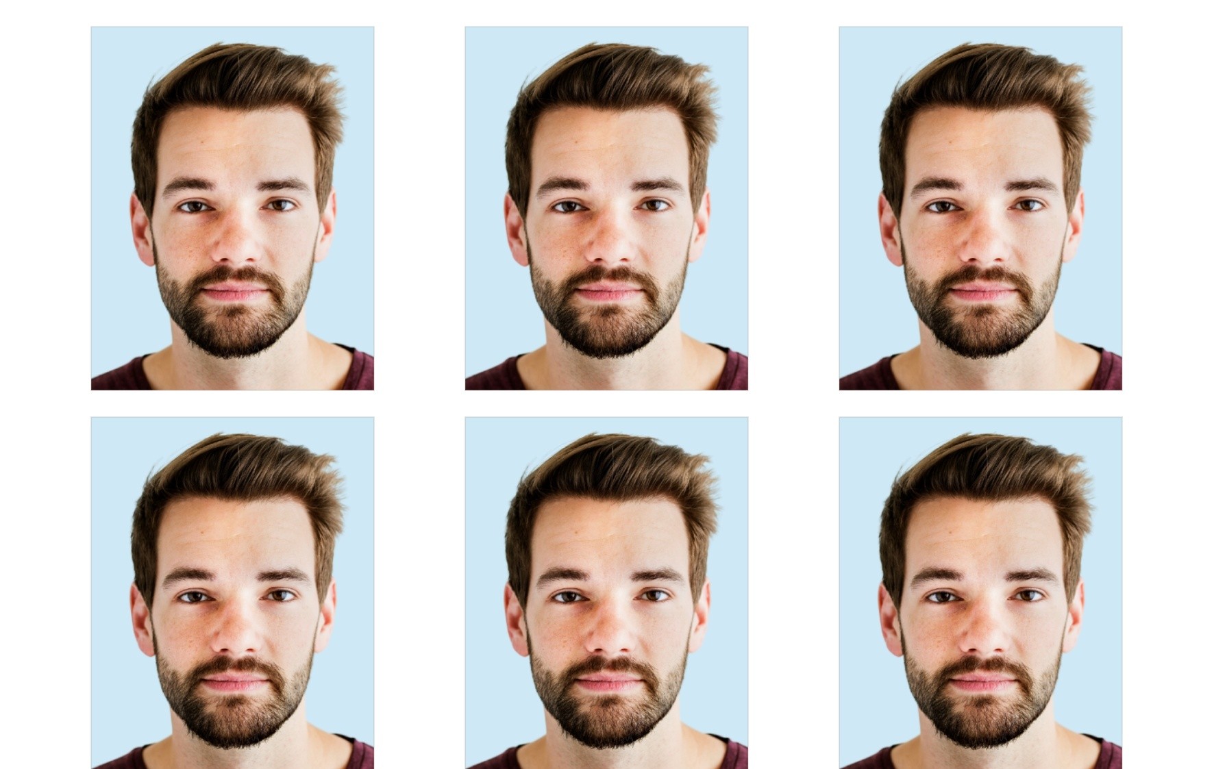 Planche de 6 photos d'identité conformes reçue par email